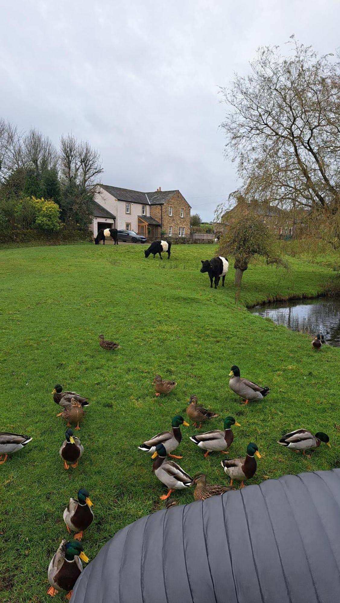 Church House Barn Lake District & Solway Coast With Solway Firth Views Silloth Luaran gambar